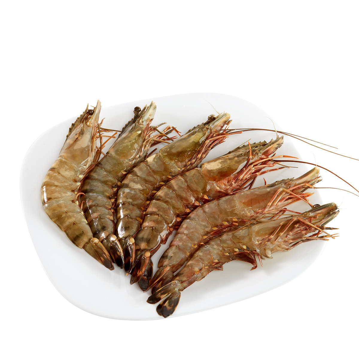 TIGER PRAWN புலி இறால் (15 Qty.)