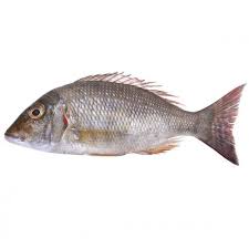 VILAI MEEN / PRICE FISH  விலை மீன்